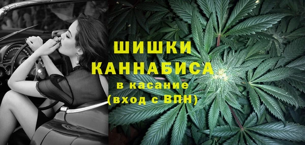 винт Протвино